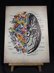 Brain Art Butterfly Anatomy Canvas Wall Art Human Canvas Print 15 X 11.5 Inch