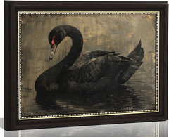 Black Swan Framed Wall Art, Moody Vintage Animal Canvas Print with Gold Accents,