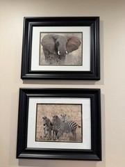 Framed Safari Animal Prints Elephant Zebra 17×14 Inch Decorative Paper Art