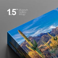Wall26 Canvas Print Southwest Saguaro Cactus Succulent Desert Landscape Art