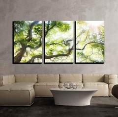 Wall26 – Big Tree with Sun Light – Canvas Art Wall Home Decor – 24″x36″x3 Panels