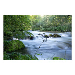 «Waterfalls» Unframed Color Nature Photography Wall Art 32 In. X 47 in .