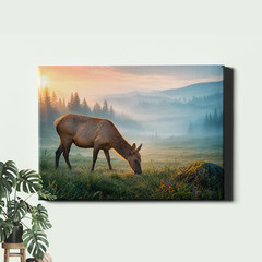 Misty meadow elk sunrise wildlife landscape Canvas Print foggy dawn elk scene