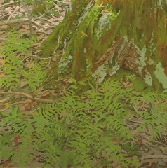 NEIL WELLIVER Stump 34″ x 20″ Offset Lithograph 1975 Contemporary