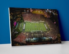 Vanderbilt Football Stadium Poster or Canvas – Commodores Football Wall Art