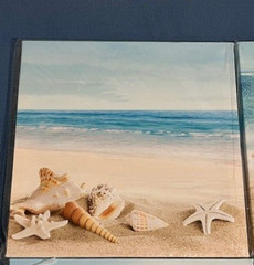 Canvas 12 X 12 Wall Art Ocean Beach Sand Waves Seashell Starfish Picture set/4