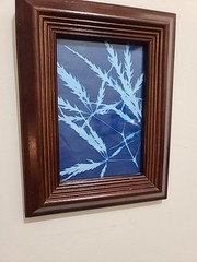 Set Of 4 Framed Blue Leaf And Flower Wall Pictures 4×6 In Each