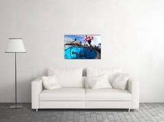 Tony Hawk Skateboard Park Art Wall Indoor Room Outdoor Poster – POSTER 20×30