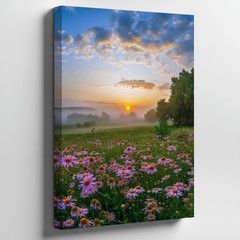 Wall Art Serene Landscape At Sunrise, Featuring A Vibrant Field Of Pink Daisies