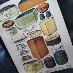 Cheese Selection Art Print 8.5×11 Naturalistic Food Prints Kitchen Gorgonzola