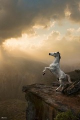 White Horse Mountain Wall Art Print Poster Western Country Decor _ Unframed