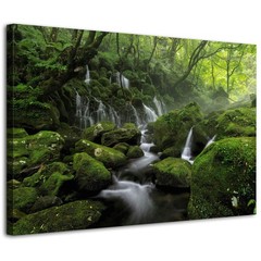 Waterfall Canvas Wall Art for Living Room Nature Forest Picture Wall Decor Fo…