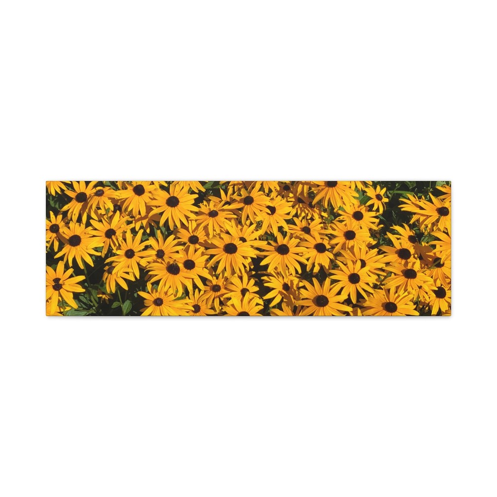 Natural Daisy Flowers Photography Matte Canvas