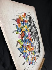 Brain Art Butterfly Anatomy Canvas Wall Art Human Canvas Print 15 X 11.5 Inch
