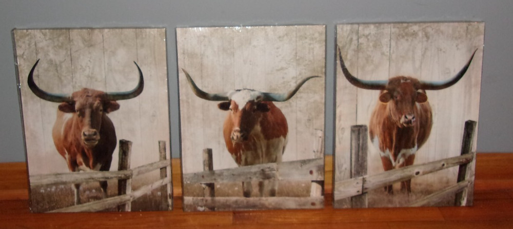 3 Pieces Wall Art Texas Longhorn Canvas 12 x 15.5 Wall Art Fence Farm Wood Decor