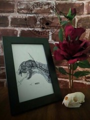 4×6 Frame Photo Cat Xray Print Oddities Unusual Decor Invert Bone Skull Skeleton