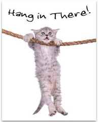 Hang in There Cat Poster 11×14 Unframed Motivational Animal Wall Art Print