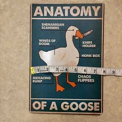 Anatomy Of A Goose Funny Animal ✅ Metal Sign Wall Art Print Decor 8 x 12 in NEW