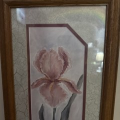 Sandy Madden Walker “Iris” Print 267 Of 390