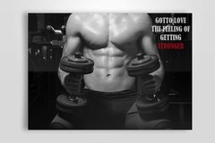 EzPosterPrints – Bodybuilding Men Girl 12″L x 18″W, motivation-quote-11