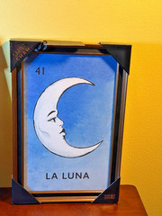 Sapna Shah El Sol & La Luna Framed Wall Art Set of 2 Celestial Boho Decor NWT