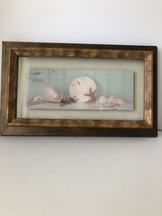 Vintage Seashells And Starfish Shadow Box Coastal Wall Art Print 14.5”x8.75”