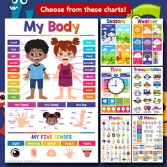 Educational Chart Visual / Learning Aid Poster for Kids – 11 x 17 – 5 per Pack
