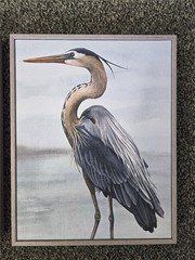 == Stupell Art Detailed Heron Bird Duo 2 PC Set Gray Framed Giclee Grace Popp