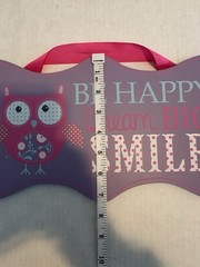 Be Happy Dream Big Smile Owl Hanging Wall Art Purple Pink Kids Bedroom Playroom