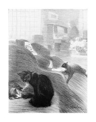 Lady with Cats Art Print – Théophile Steinlen 1897 Etching of Parisian Feline