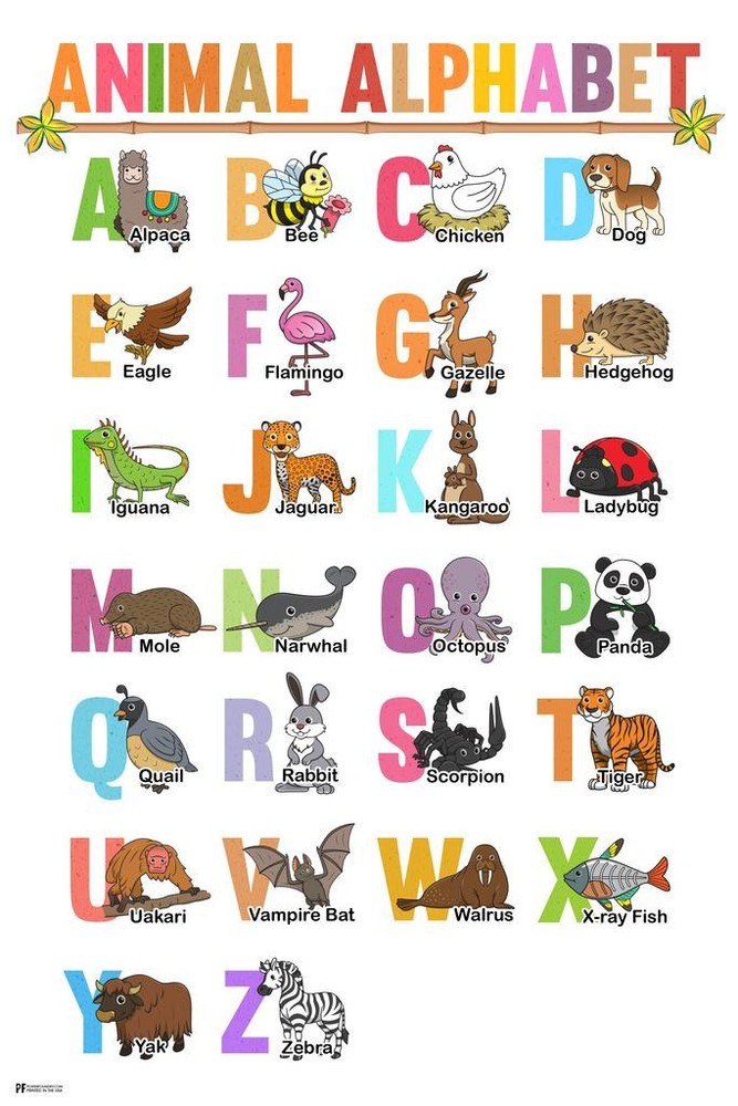 Animal Alphabet Letters Poster ABC Toddler Kids Art Print Poster 16×24