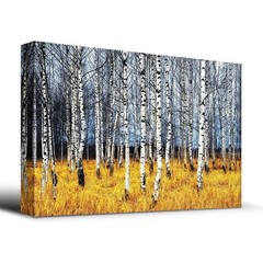 Beautiful Aspen Trees Fall colors – Canvas Art Home Decor – 32×48 inches