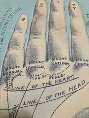 New Cavallini & Co. Palmistry Guide Poster, Archival Paper, Matte