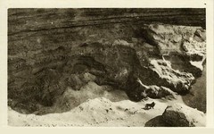 Last Barbary Lion 1925 GLOSSY POSTER PICTURE PHOTO PRINT BANNER 12357