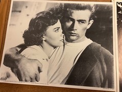Vintage 1987 Classic Hollywood Photo Prints Large 12×14 Glossy RC Paper Choice