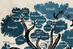 18×29 Inches Indo-European Old World Language Family Tree Map Poster WALL Muarl