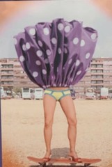IKEA Bild 36” or Split! Poster Cross Section Color Pencil Neil Overy Photo Print
