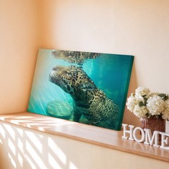 Jaguar underwater with reflection wildlife nature canvas wall art animal print