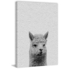 24 In. H X 16 In. W «Llama Surprise II» by Maria Giovanni Canvas Wall Art