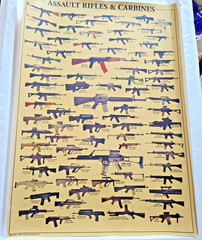 Assault Rifles & Carbines Illustrated Reference Poster Chart 14×20 in