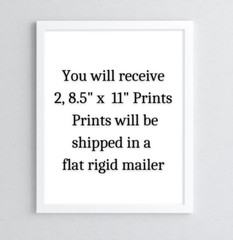 Floral Wall Art Prints, Set of 2 Roses Wall Art Prints, Botanical Decor #99
