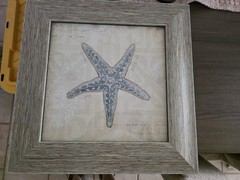 Framed Coastal Starfish Print Wall Art, Horizontal, Blue/Beige/Gray
