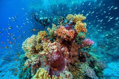 Extreme Underwater Seascape Photo Art Print Poster 24×36 inch