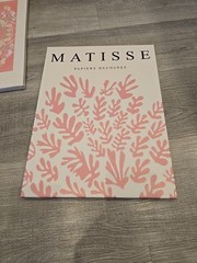 Abstract Floral Wall Art Pink White FLOWERS Matisse 3-Piece Set Canvas on Frame