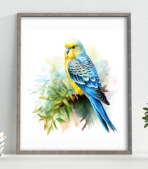 Budgie Wall Art Print, Blue and Yellow Parakeet Art Print, Wall Art Decor