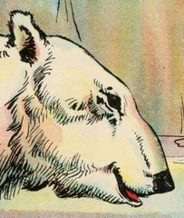 Polar Bear Illustration POSTER! (24″ x 36″ or smaller) – c. 1911 – Antique Book