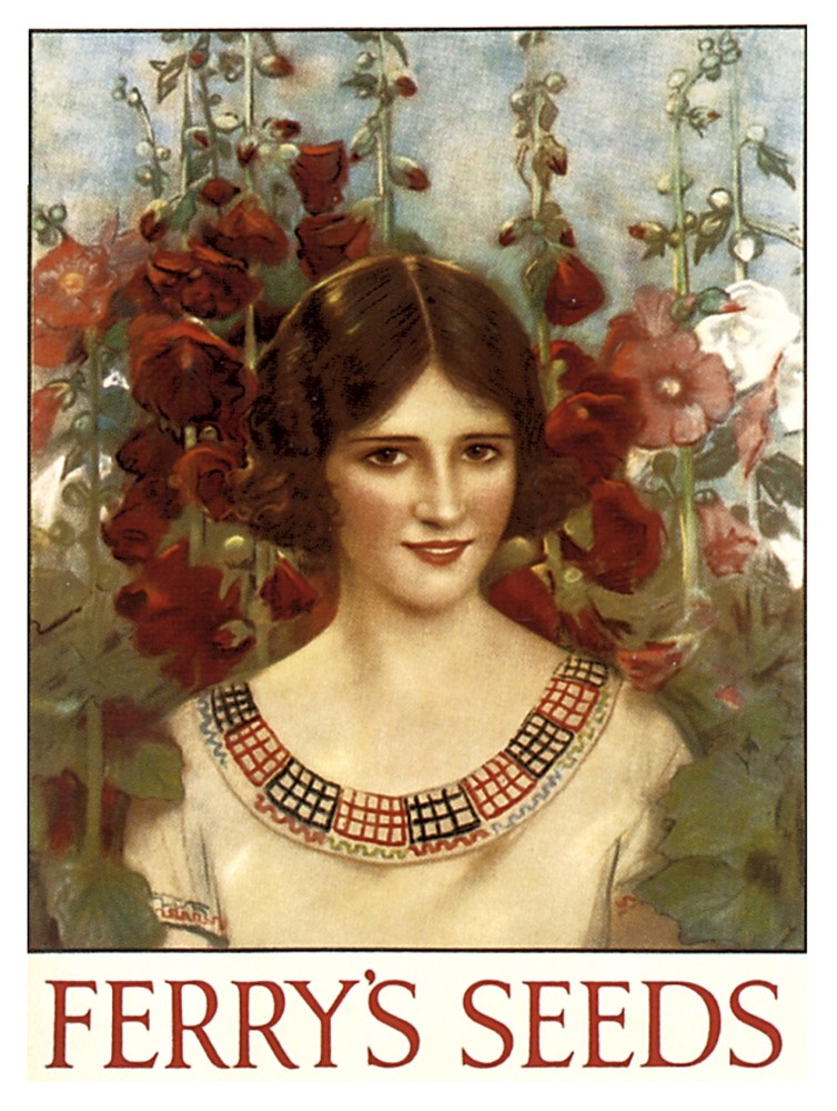 9631.Seeds.woman amidst roses.brown hair.POSTER.decor Home Office art