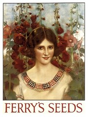 9631.Seeds.woman amidst roses.brown hair.POSTER.decor Home Office art