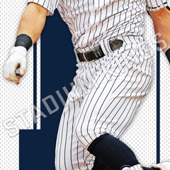 Anthony Volpe New York Yankees Pinstripes Home Jersey Wall Art – 11×17 inches