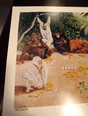 HIGH ROLLER MONKEYS, GORILLAS & MORE PICTURE GREAT FOR ANY COLLECTION!